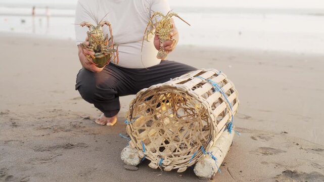 fisherman caught two spiny lobsters using a traditional bamboo pot or trap in bali, indonesia, southeast asia, sea in background
