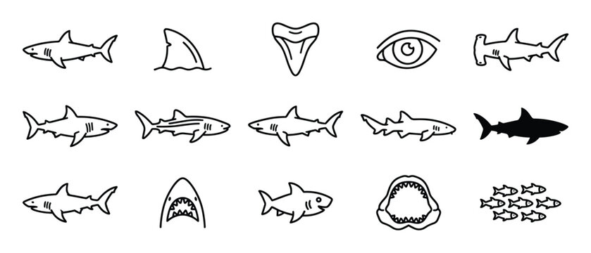 Collection of various hand-drawn shark-themed doodle icons, including different shark species, a fin, a tooth, an eye, and a school of fish, presented in a simple black outline style