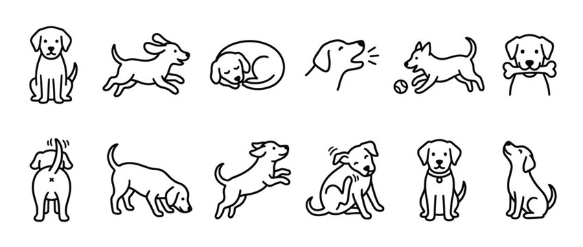 Collection of simple black outline dog icons illustrating various poses and activities in a clean, minimalist style