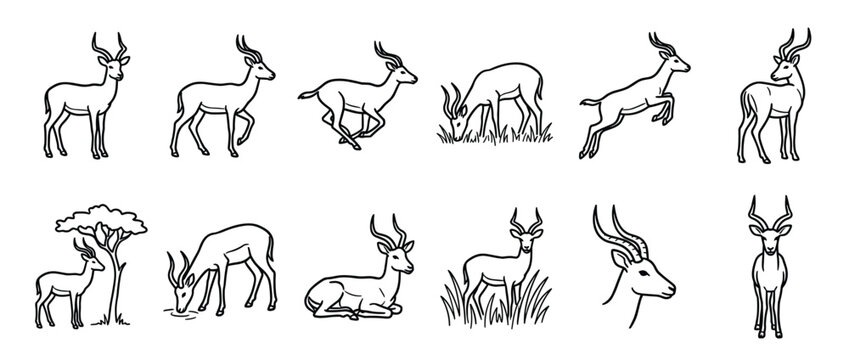 Collection of black outline impala illustrations in various poses, including standing, running, jumping, and grazing, presented in a clean, graphic style