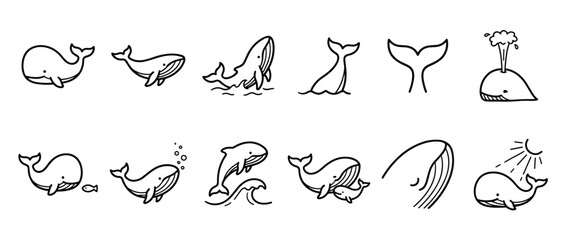 Obraz premium Collection of cute hand-drawn whale illustrations in various poses and actions, featuring simple black outlines