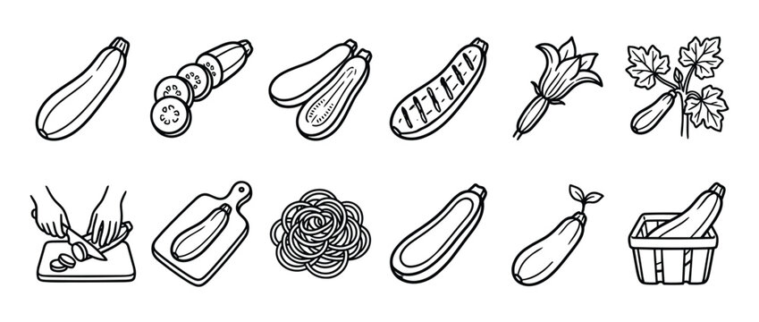 Collection of hand-drawn black and white zucchini illustrations, showcasing various forms from whole to sliced, grilled, and growing