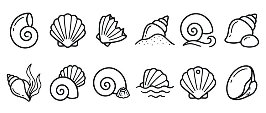 Collection of twelve distinct black outline seashell icons, featuring various spiral and bivalve shapes, some with sand, waves, or seaweed, presented in a clean, minimalist style