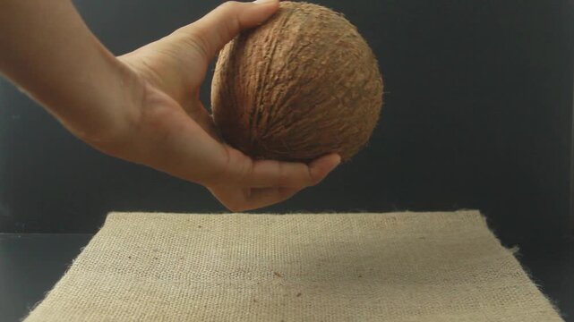 Dry coconut, a man's hand holding and grasping a dry coconut that has been peeled and contains abundant coconut milk