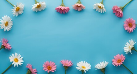 Obraz premium Overhead shot of bright white and pink flowers arranged on large blue background for text