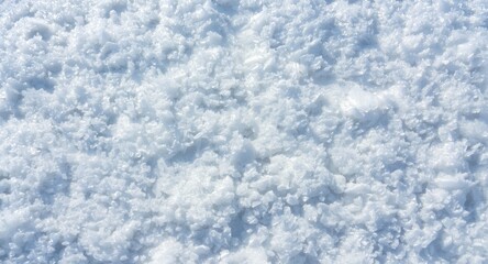 Fototapeta premium Winter landscape texture backdrop with rough snowdrift surface and bright daylight