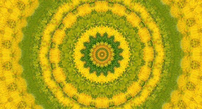 Yellow and green flower mandala creating an enchanting summer floral kaleidoscope backdrop