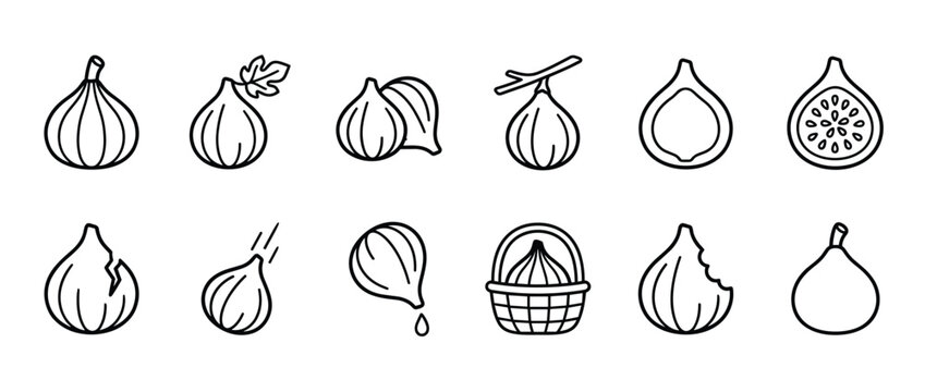 Collection of black and white line art fig icons showing whole, sliced, and bitten fruits in various styles