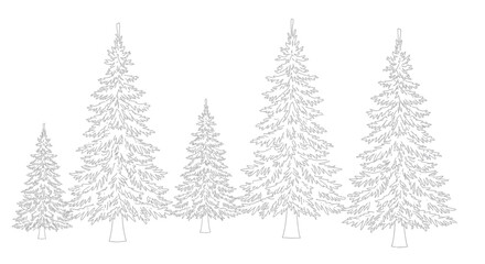Obraz premium Outline Evergreen Trees Collection Isolated White Background