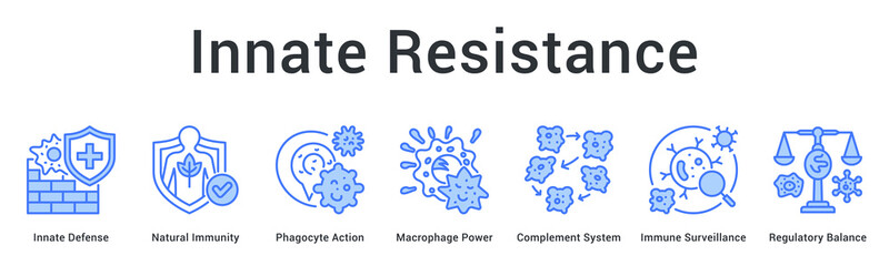Fototapeta premium Innate resistance banner web icon provides immediate natural defense through phagocytes and surveillance mechanisms balancing responses.