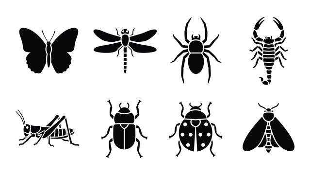 A collection of black insect silhouettes showcases diverse arthropods including butterflies beetles and spiders a striking silhouette high quality professional detailed