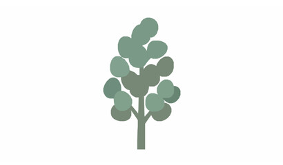 Minimalist eucalyptus tree flat vector illustration isolated on white background with clean geometric design © MstLaily