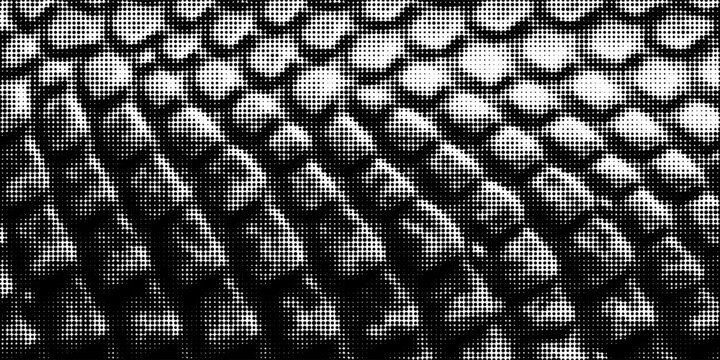 Dragon snake reptile fish mermiad scale seamless pattern tile. Dinosaur skin seamless pattern. Vector black