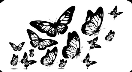Butterflies black silhouettes with white details flying... featuring insects, wings, animal with nature and wildlife elements for lepidoptera, © BundleNinja