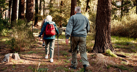 Fototapeta premium Hiking, walking and back of senior people in forest for wellness, active hobby and fresh air. Travel, retirement and elderly men and women on nature trail for adventure, health and exercise outdoor
