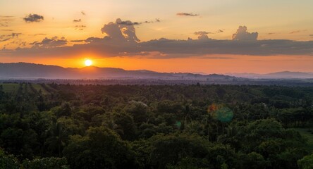 Obraz premium Sunset panorama embracing extensive rows of cocoa trees