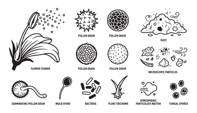 Pollen grains dust and microscopic particles vector illustration science