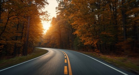 Naklejka premium Soothing drive at sunrise through vibrant forest setting