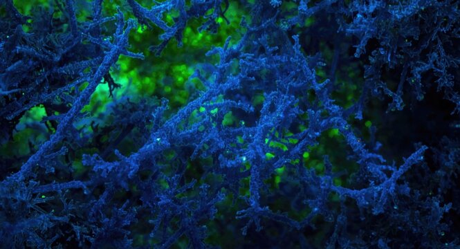 Transmission electron microscope reveals blue asbestos fibers on glowing green background from environmental sample