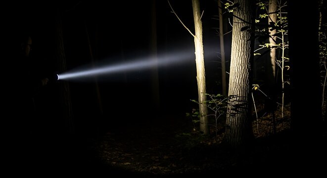 A narrow beam of bright white light cutting through the thick darkness of a quiet nighttime forest illustration