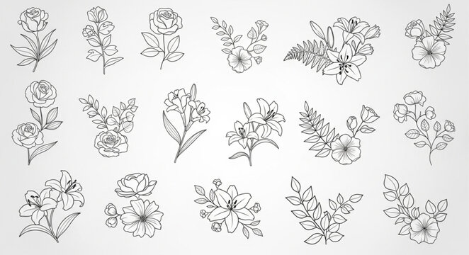 Collection of Hand-Drawn Floral Elements and Botanical Illustrations.