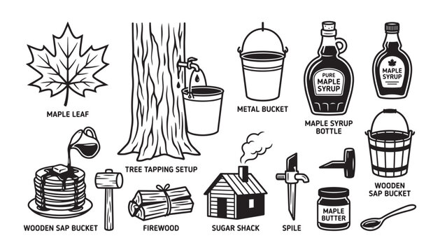 Maple syrup production process equipment vector illustration collection