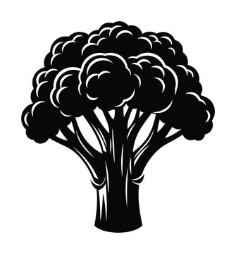 Vector depicting a silhouette of a broccoli head with thick stems and textured florets