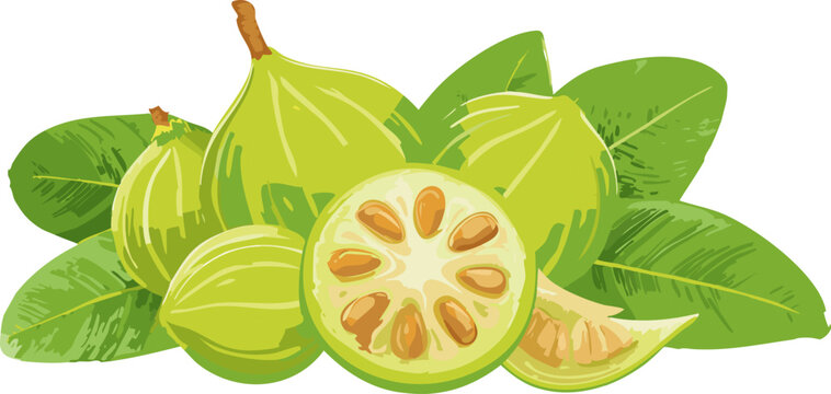 Tropical green fruit with detailed plant structure
