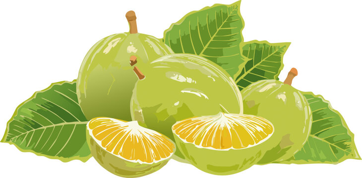 Exotic tropical fruit with structure and texture detail
