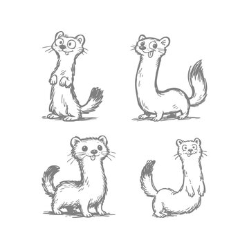 A set of hand drawn ferrets in various playful poses, perfect for illustrations, childrens books, or educational materials