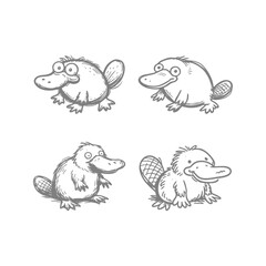 Naklejka premium A collection of adorable, hand-drawn platypus illustrations in sketch style. Perfect for childrens books, educational content, or playful designs