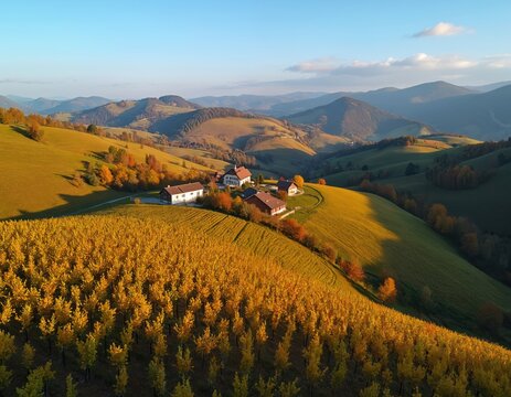 Golden autumn vineyard, farmland stretch across rolling hills under clear blue sky. Traditional farmhouses nestle into landscape, bathed in warm sunlight. Scene shows peaceful rural vista, natures