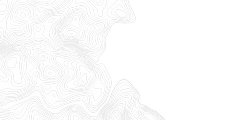 Abstract topography pattern seamless lines sea map modern design white background. Abstract digital topographic contour map concept space geometric strip grid line. Natural discovery of maps. © coal digger