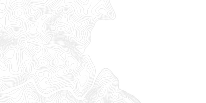 Abstract topography pattern seamless lines sea map modern design white background. Abstract digital topographic contour map concept space geometric strip grid line. Natural discovery of maps.