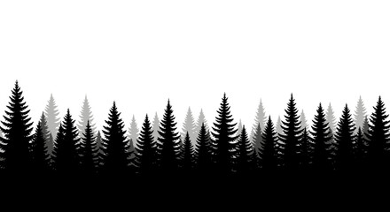 Black Silhouette of Pine Trees in a Forest Against a White Background © Leonard