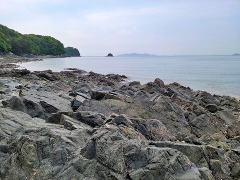 Low tide landscape with many rocks