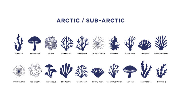 Arctic and sub arctic plant silhouettes for climate change concept vector graphics