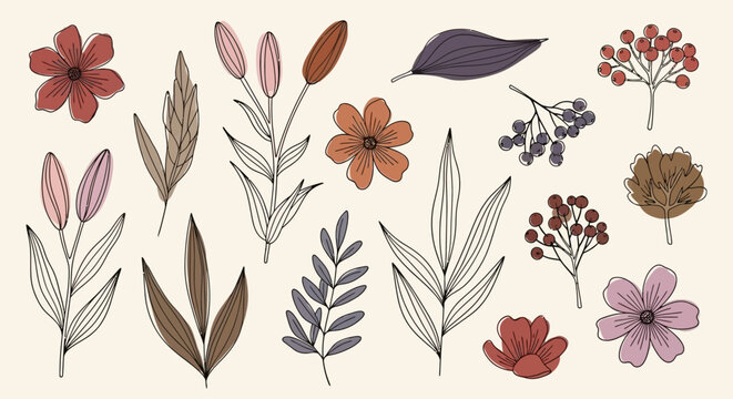 Minimalist line art collection of flowers, leaves, and berries in muted bohemian colors