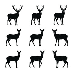 Fototapeta premium Deer silhouettes in various poses standing.