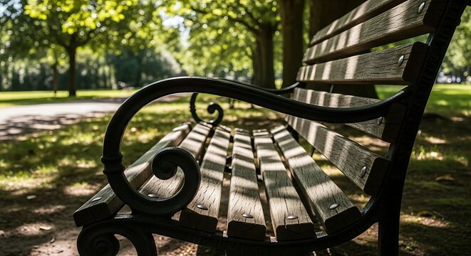 Sunlight dapples an empty park bench in a lush green setting