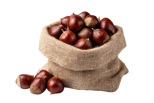Fresh Whole Hazelnuts in Burlap Sack Spilled on Dark Background brown, Isolated On White Background, Png Transparent