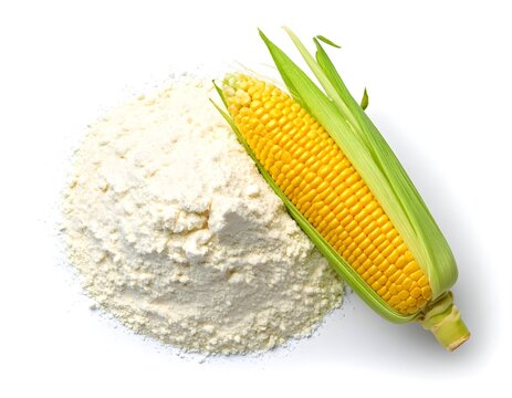Cornflour with corn fruit on white background