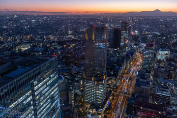 Fototapeta premium View of Shibuya downtown in Tokyo with high-rise towers clustering in Shibuya area in dusk