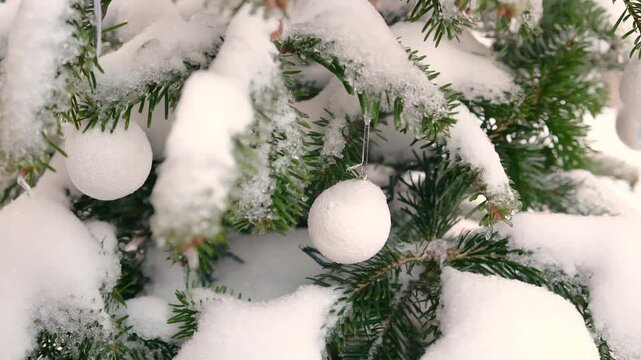 Spruce tree branches heavily covered with fresh white snow and elegant simple round white ornaments