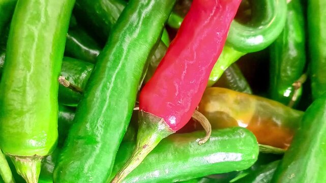 A single red chili standing out among green chilies, representing contrast and uniqueness.