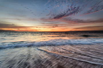 Fototapeta premium Ocean Sunset Inspirational Birds Travel Beach Nature Scenic Surreal Sunrise Seascape
