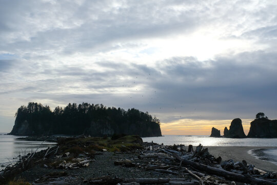 Rialto beach at Sunset in Olympic National Park