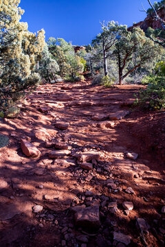 Rocky desert hiking trail through sunlit forest landscape