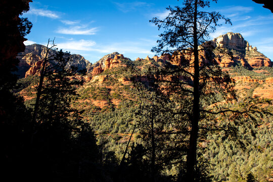 Sunlit red rock formations framed by forest silhouettes
