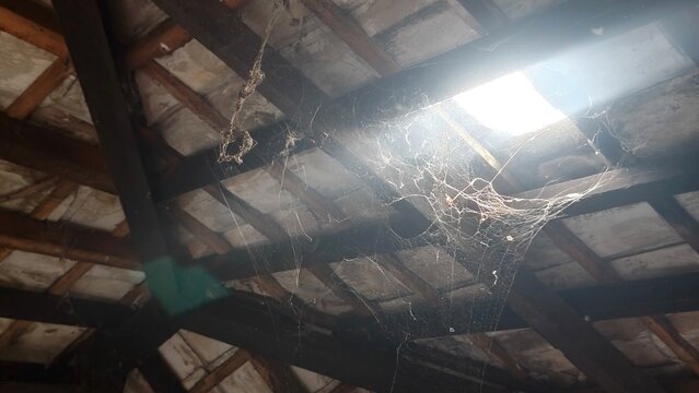 Sunlight through wooden roof beams with spider web, rustic attic interior, dramatic light, vintage house concept